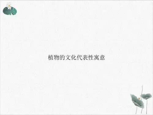 植物的文化代表性寓意PPT.