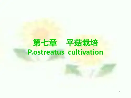 《平菇栽培》PPT课件