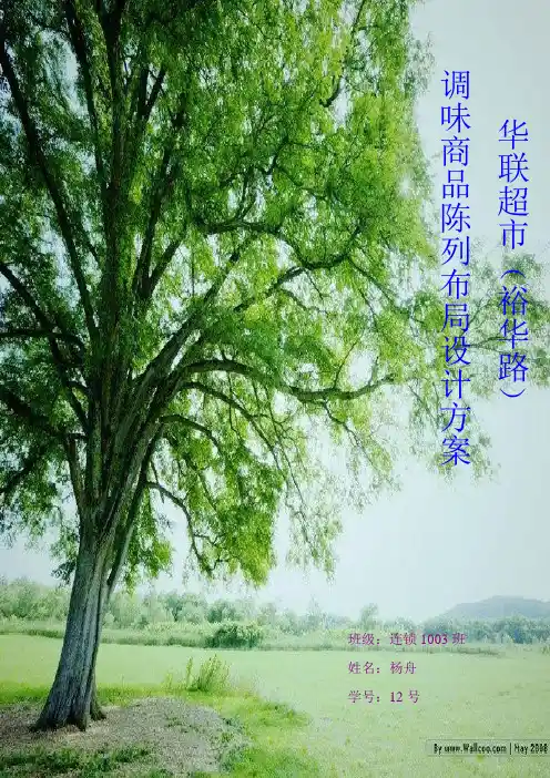 华联超市调味品陈列布局方案