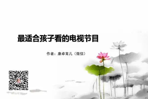 最适合孩子看的电视节目
