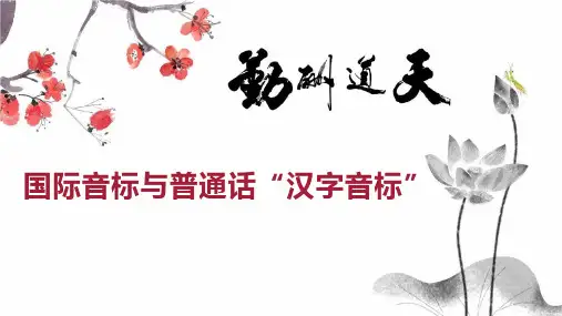 国际音标与普通话“汉字音标”