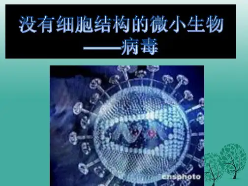 八年级生物上册第五单元第五章病毒教学课件(新版)新人教版