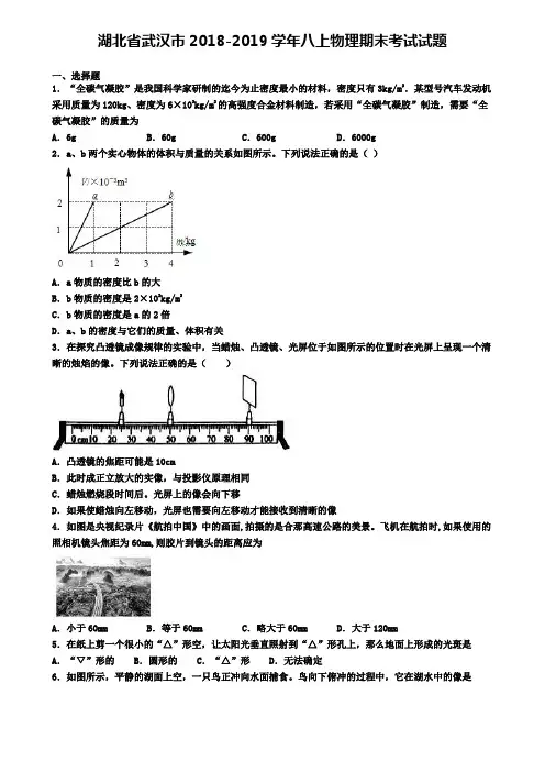 湖北省武汉市2018-2019学年八上物理期末考试试题