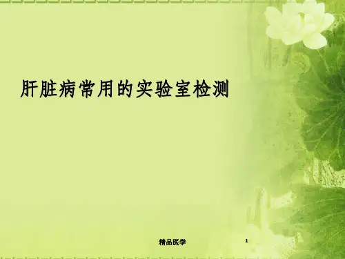 《肝功能检查》PPT课件