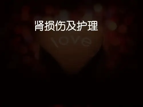 肾损伤及护理ppt课件