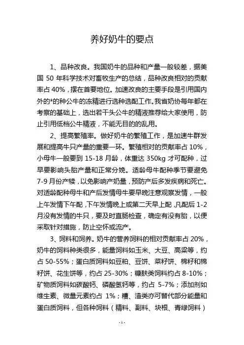 养好奶牛的要点