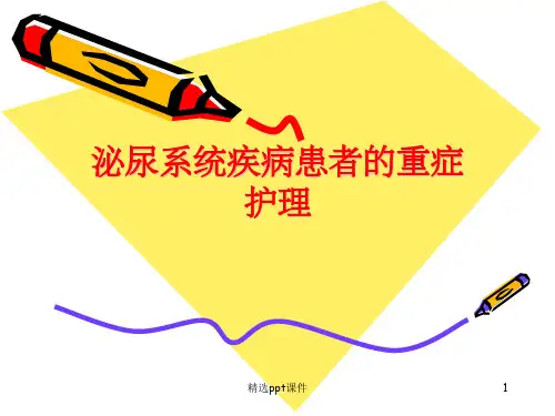 《泌尿系统疾病患者》PPT课件