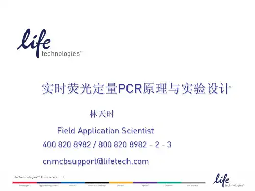荧光定量PCR原理与实验流程