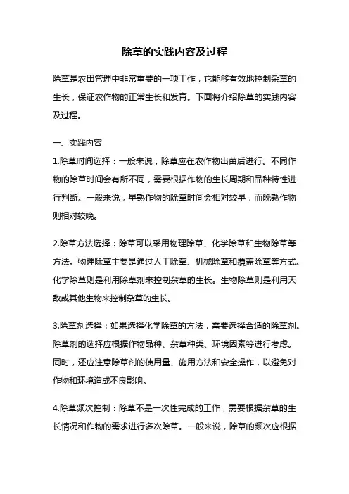 除草的实践内容及过程