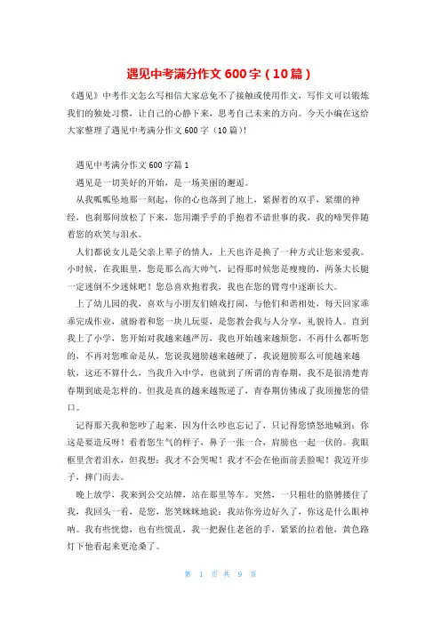 遇见中考满分作文600字(10篇)