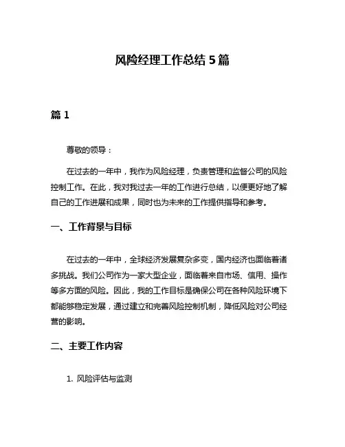 风险经理工作总结5篇