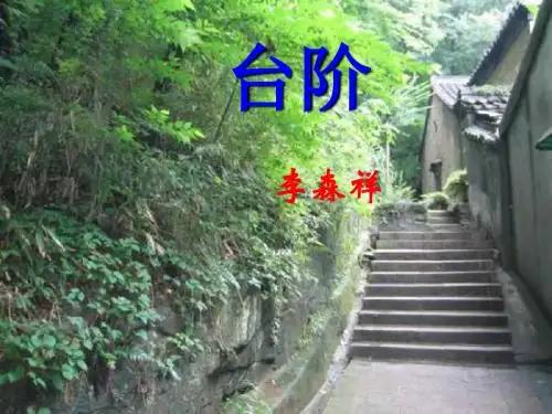 《台阶》 ppt课件全面版