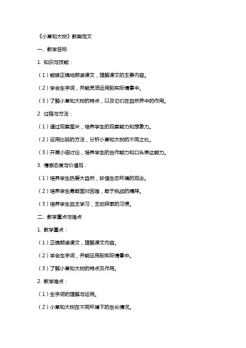 《小草和大树》教案范文