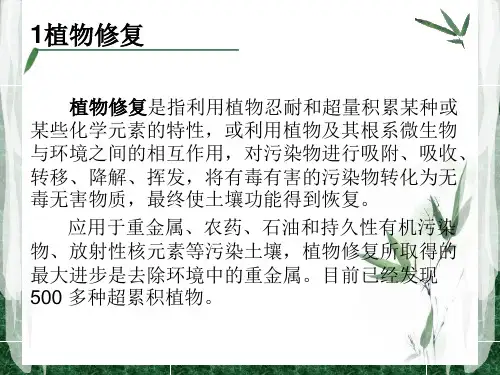 _污染土壤的生物修复PPT幻灯片