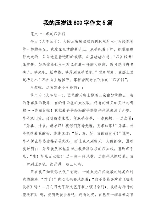 我的压岁钱800字作文5篇_作文