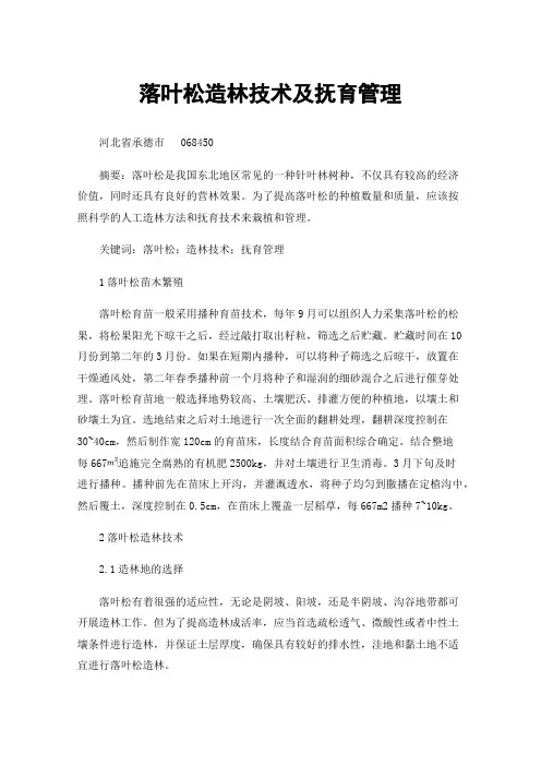落叶松造林技术及抚育管理