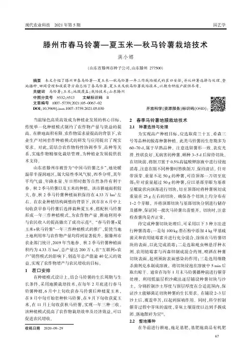 滕州市春马铃薯—夏玉米—秋马铃薯栽培技术