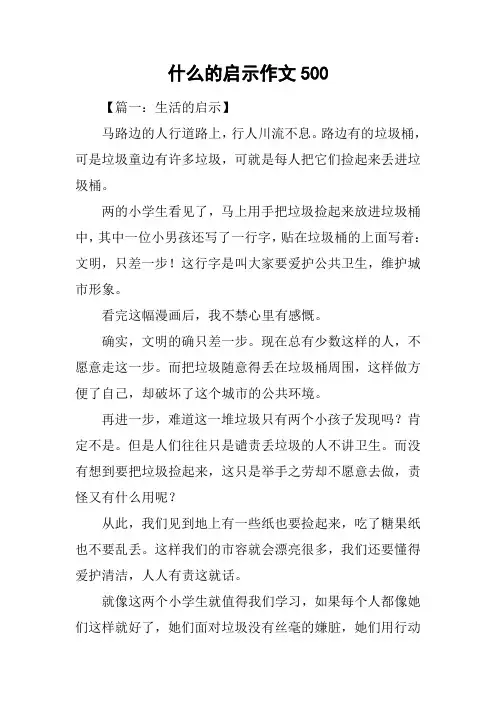 什么的启示作文500