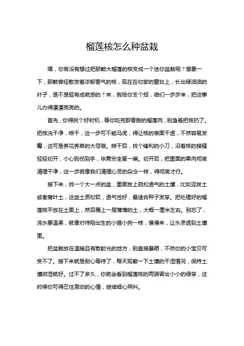 榴莲核怎么种盆栽