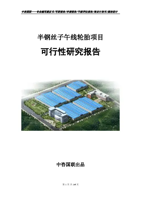 半钢丝子午线轮胎项目可行性研究报告立项申请报告模板