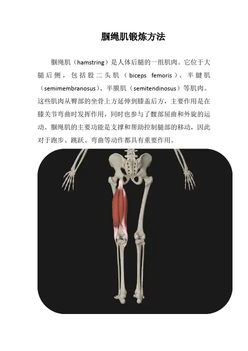 腘绳肌锻炼方法