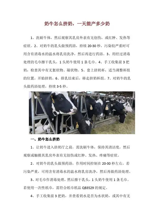 奶牛怎么挤奶,一天能产多少奶