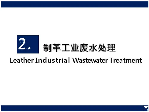 02-制革工业废水处理资料培训课件
