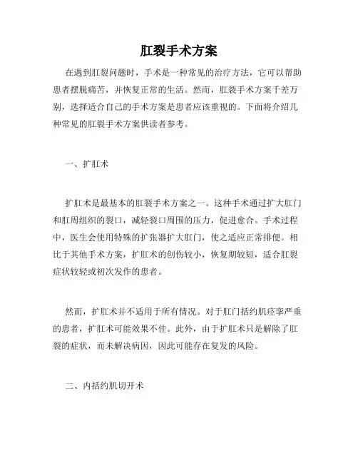 肛裂手术方案
