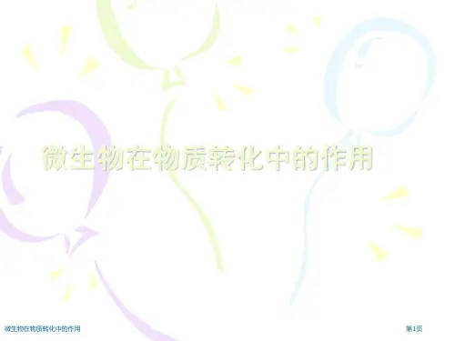 微生物在物质转化中的作用