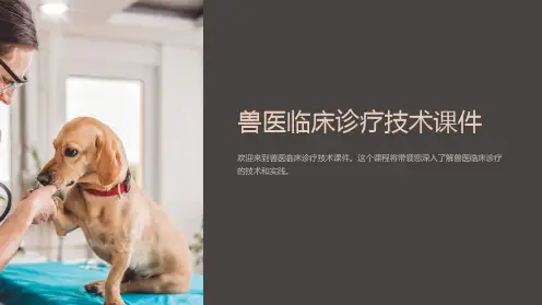 兽医临床诊疗技术课件