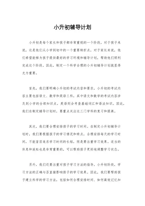小升初辅导计划