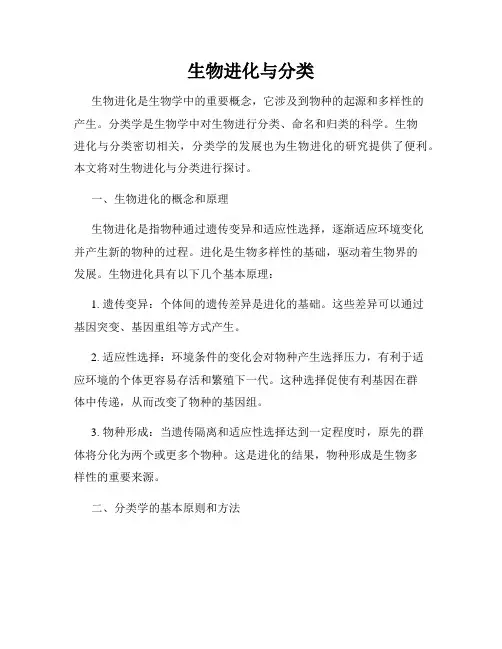 生物进化与分类