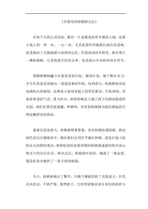 《乡愁里的核桃树记忆》