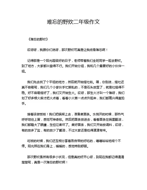 难忘的野炊二年级作文