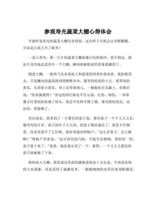 参观寿光蔬菜大棚心得体会