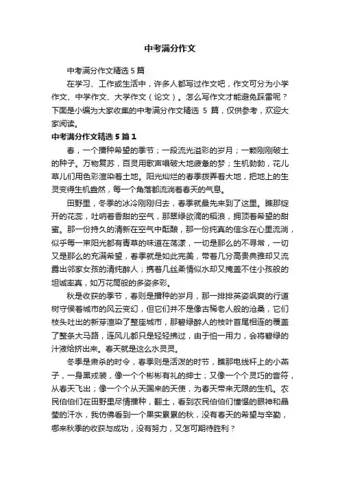 中考满分作文精选5篇