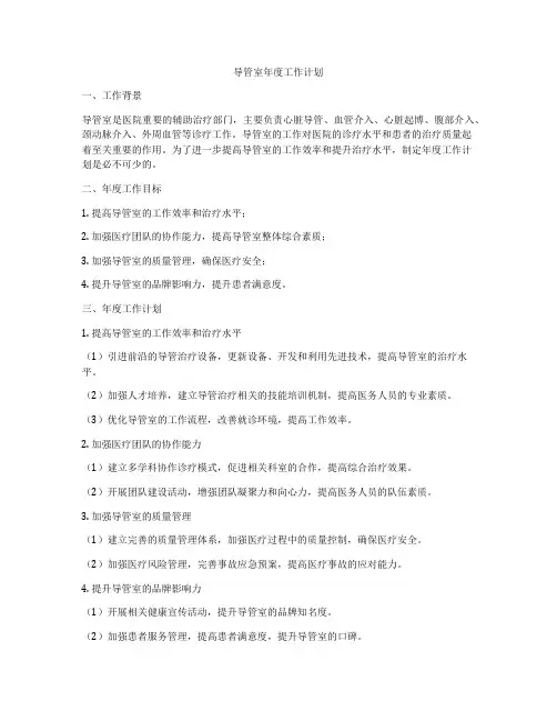 导管室年度工作计划