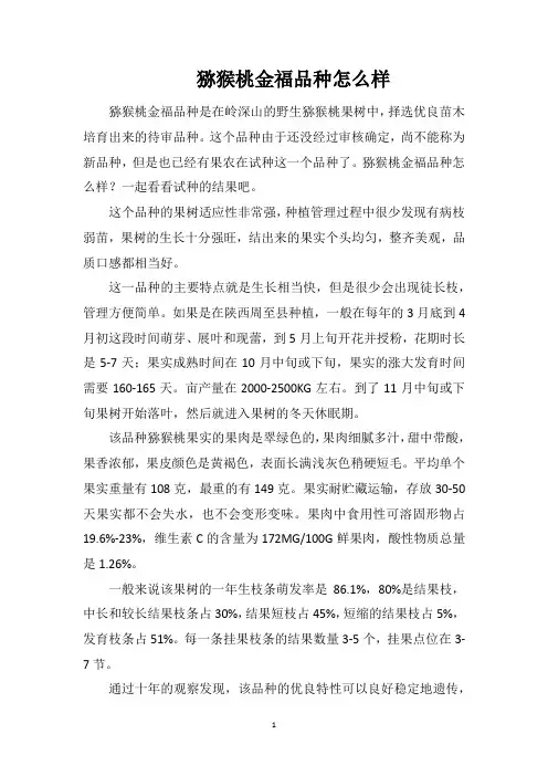 猕猴桃金福品种怎么样