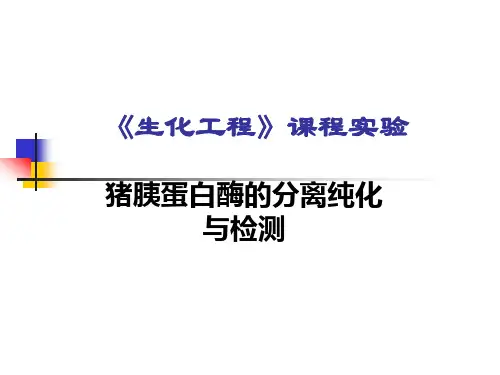 实验：猪胰蛋白酶的分离纯 化