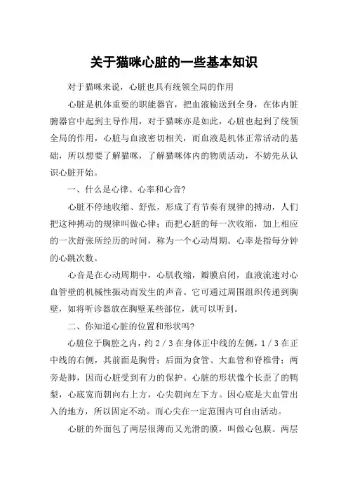 关于猫咪心脏的一些基本知识