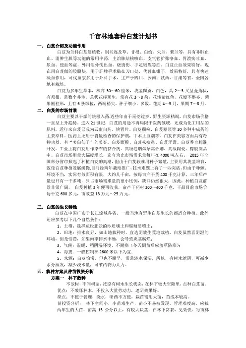 千亩林地套种白芨计划书
