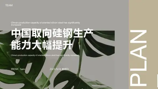 2023年取向硅钢生产能力提高、产能及产量均超200万吨、市场呈现相对集中格局报告模板
