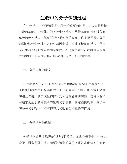 生物中的分子识别过程