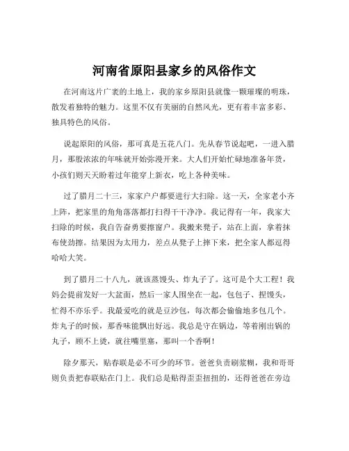 河南省原阳县家乡的风俗作文