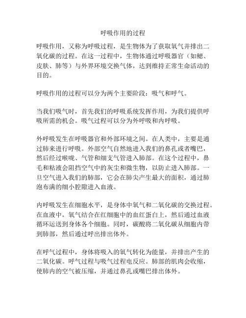 呼吸作用的过程