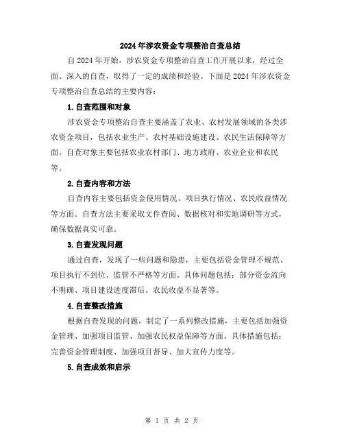 2024年涉农资金专项整治自查总结
