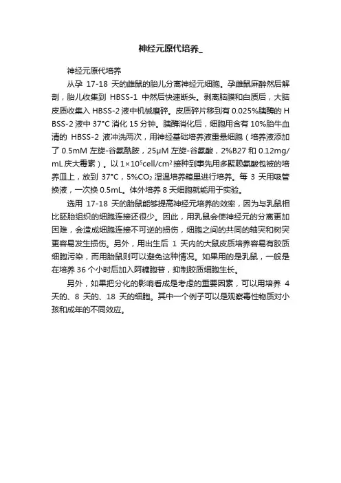 神经元原代培养_