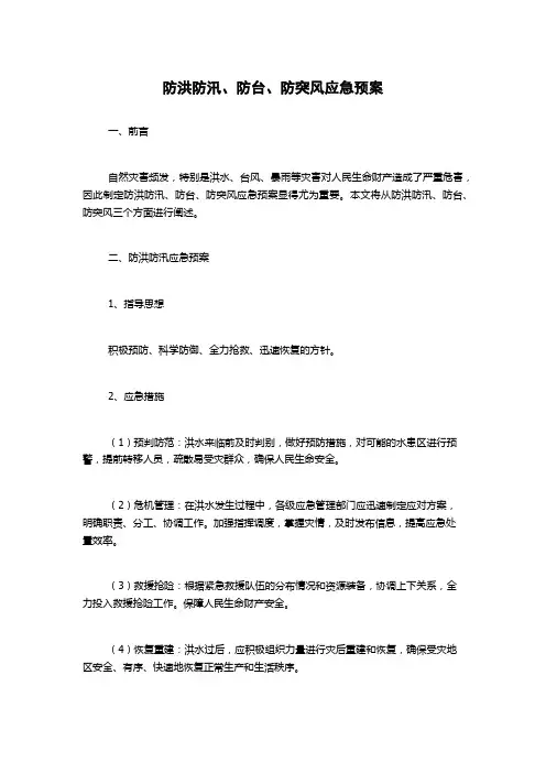 防洪防汛、防台、防突风应急预案
