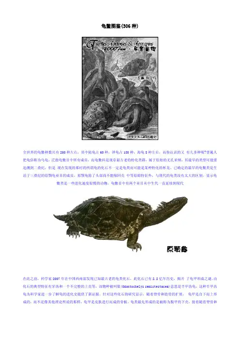 龟类图鉴