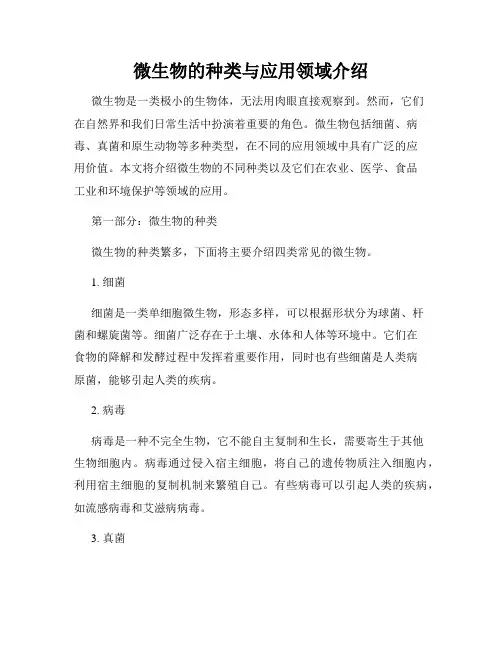 微生物的种类与应用领域介绍